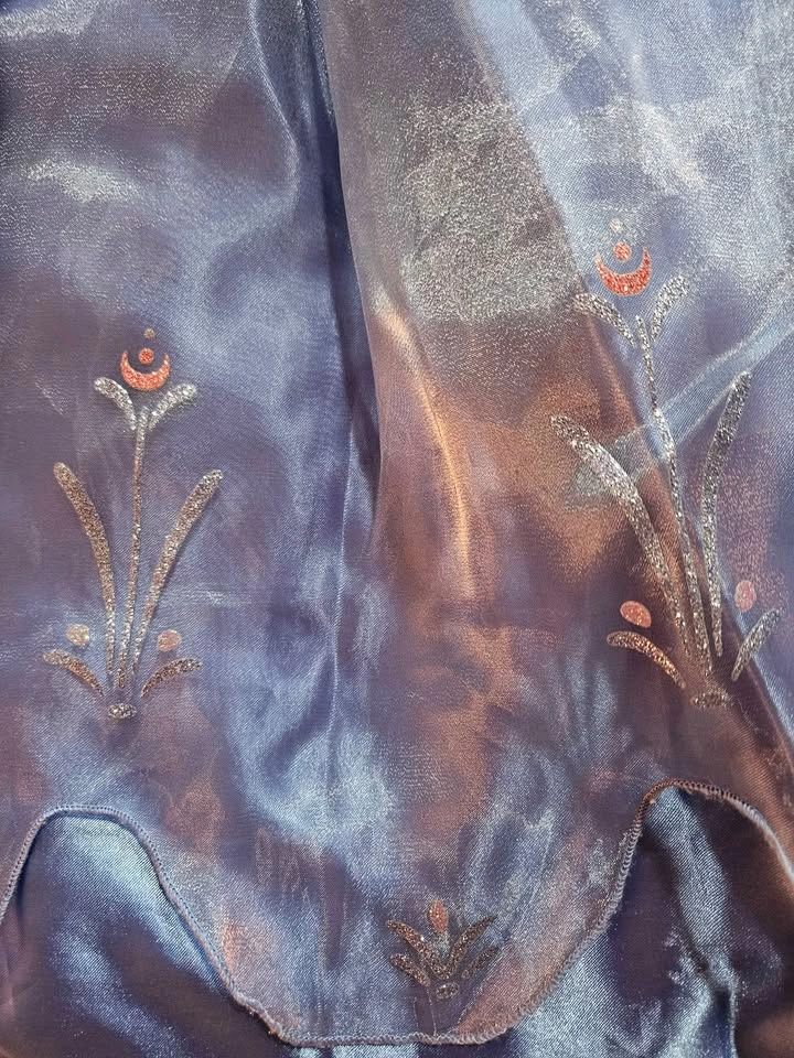 Beautiful Anna Costume Size 9/10 - photo 3