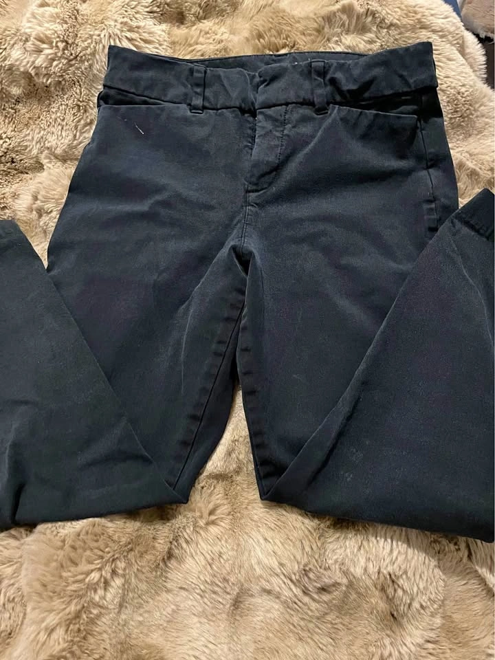 Dress pants