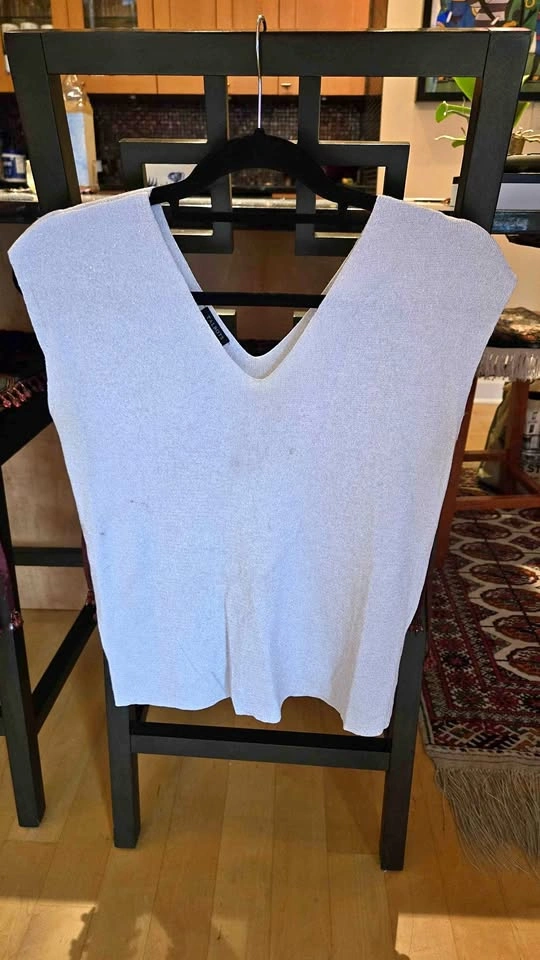 Talbots Sparkly Silver Vneck Top