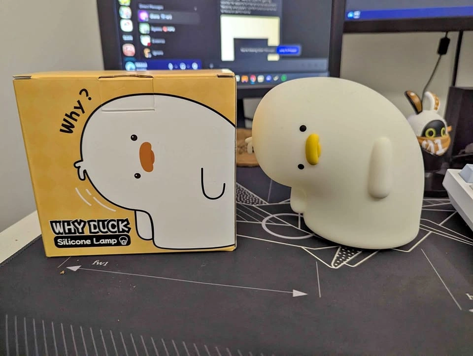 Why Duck Silicone Lamp