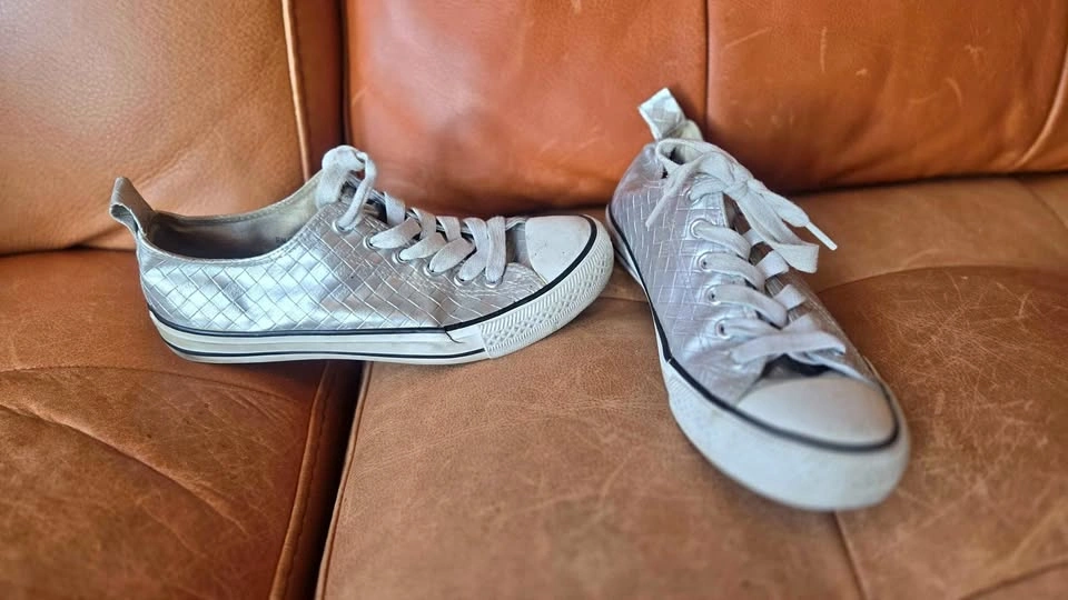 Fun Silver Leather Sneakers