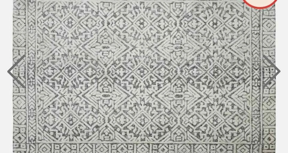Structube area rug