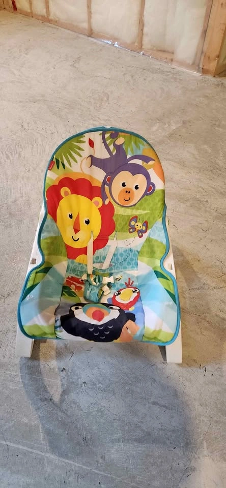 Baby rocker