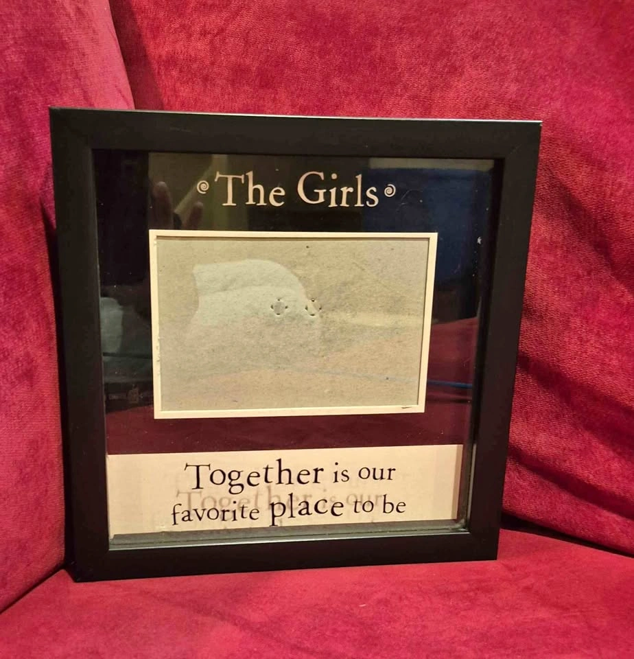"The Girls" picture frame, holds 3.5 X 5.5 inch photo (Skokie)