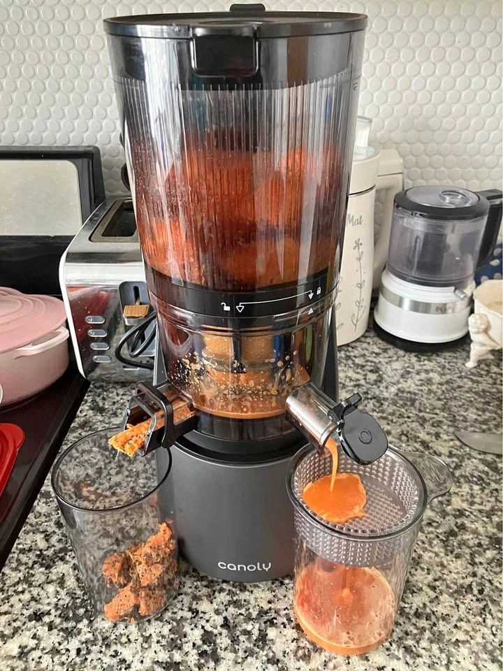 Canoly C16 Cold Press Juicer