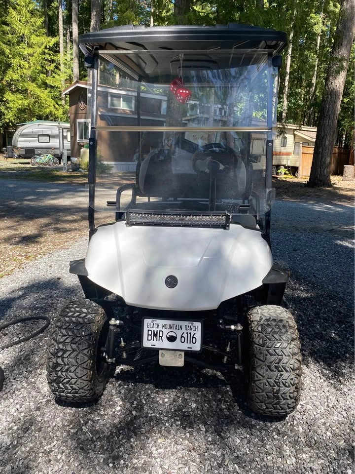2015 G29 Yamaha golf cart - photo 2