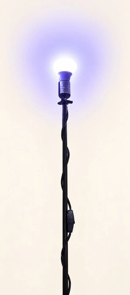 💡 Moving Sale - Lighting & Electronics - photo 3