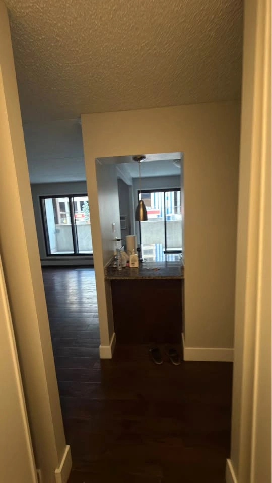 1 Bed 1 Bath - Apartment - photo 3