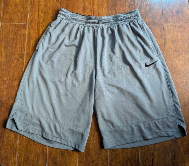 Nike Dri-Fit Icon Shorts (Men's XL)
