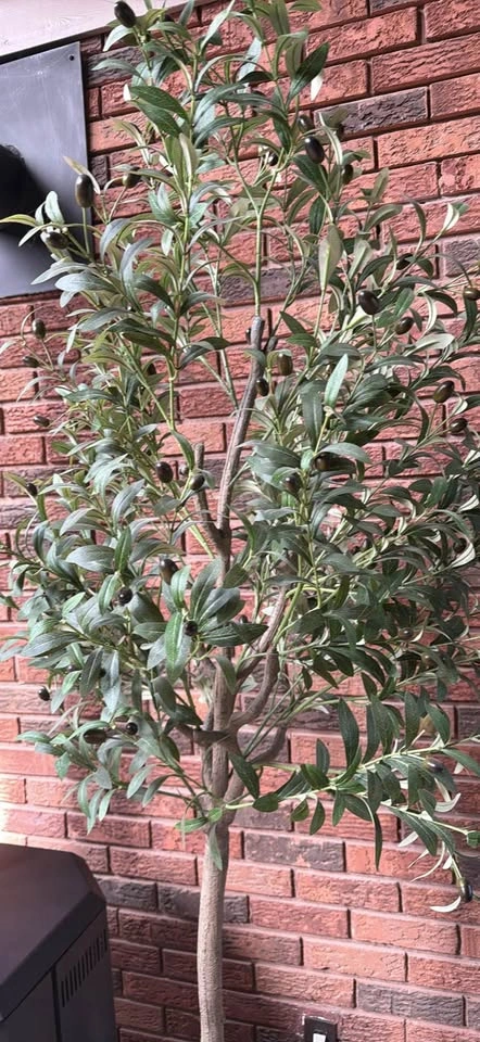 Artificial Olive Tree in Ceramic Urn - photo 2