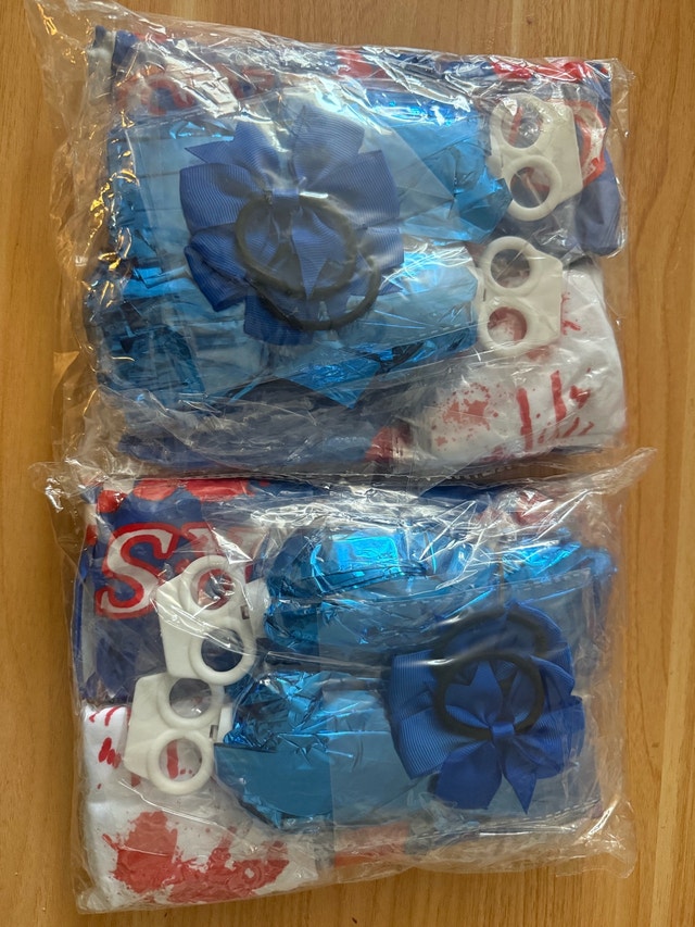 Factory Sealed Bloody Cheerleader Costume Set, Blue, Kids - photo 2