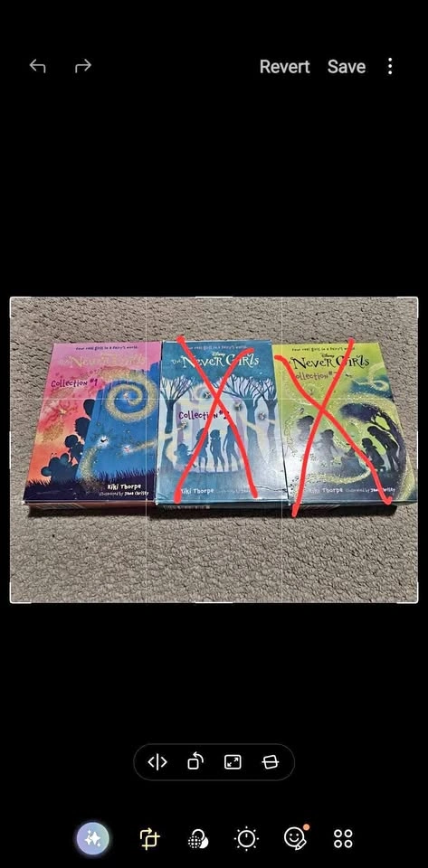 The Never Girls book collection set #1