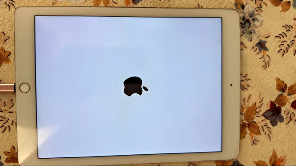 iPad Air 2 64GB Cellular