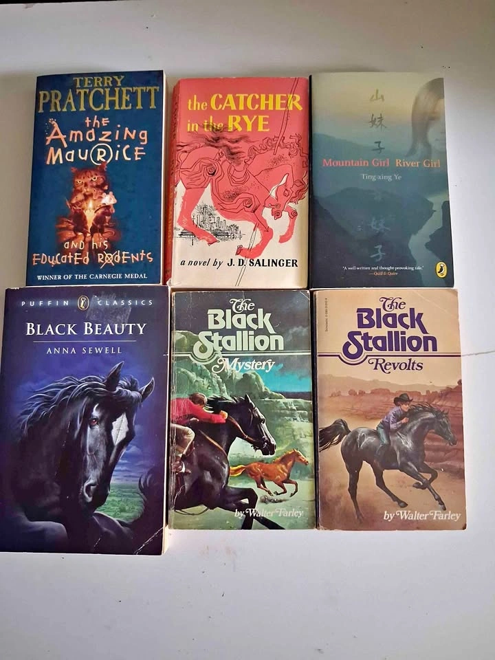 Lot of 6 Young Adult and Classic Fiction Books