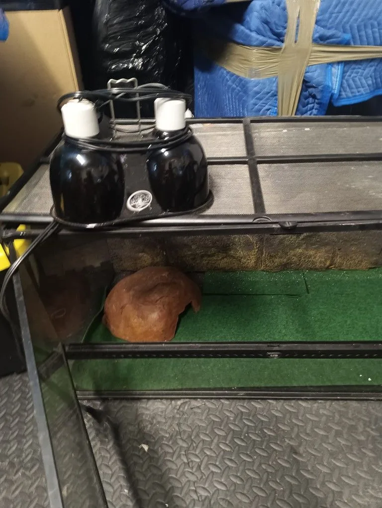 Terrarium image indicator(2)