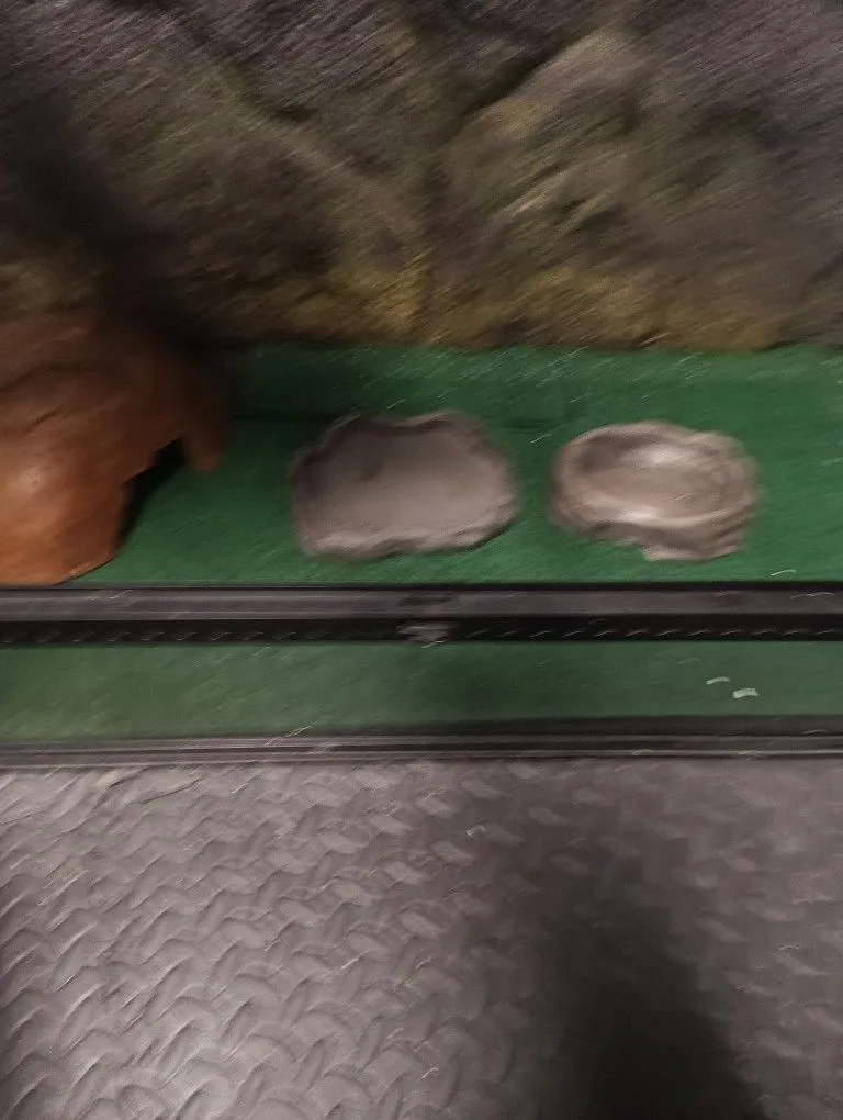 Terrarium image indicator(4)