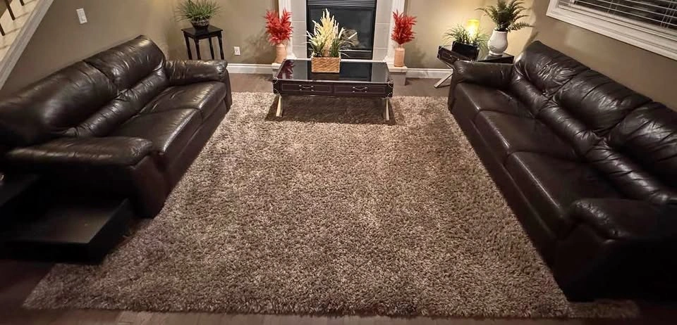 8x10 ft Shag Area Rug