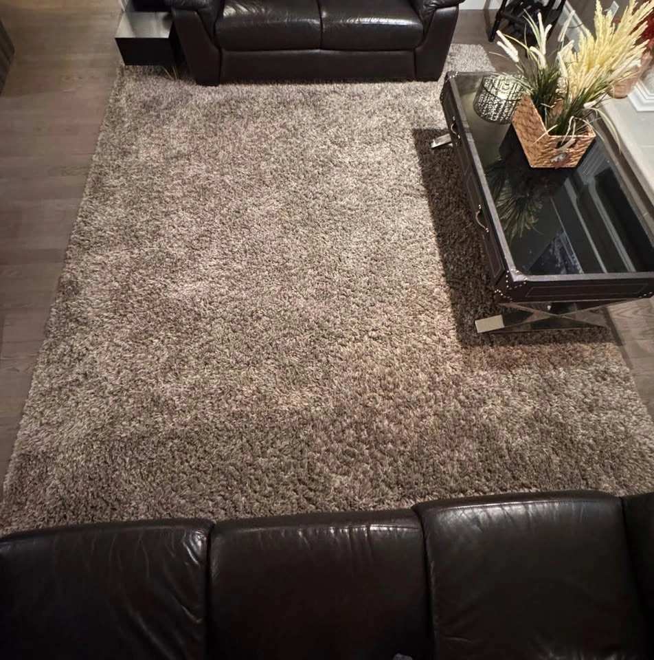 8x10 ft Shag Area Rug - photo 2
