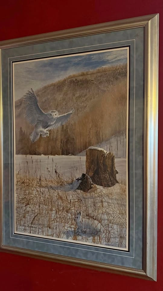 Paul Rankin Art