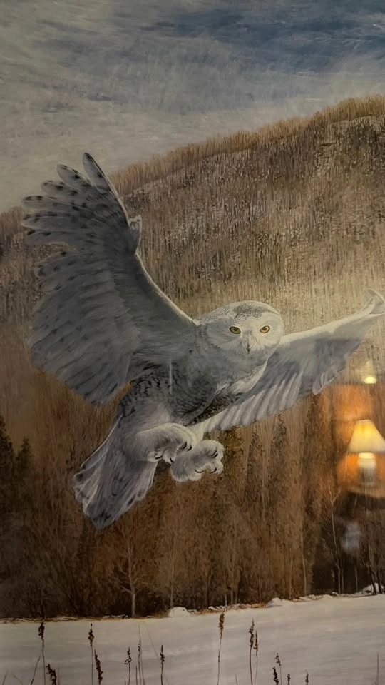 Paul Rankin Art - photo 4