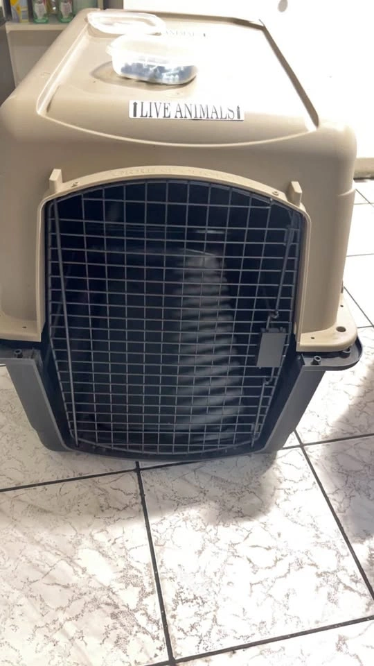 Large dog crate 32” long