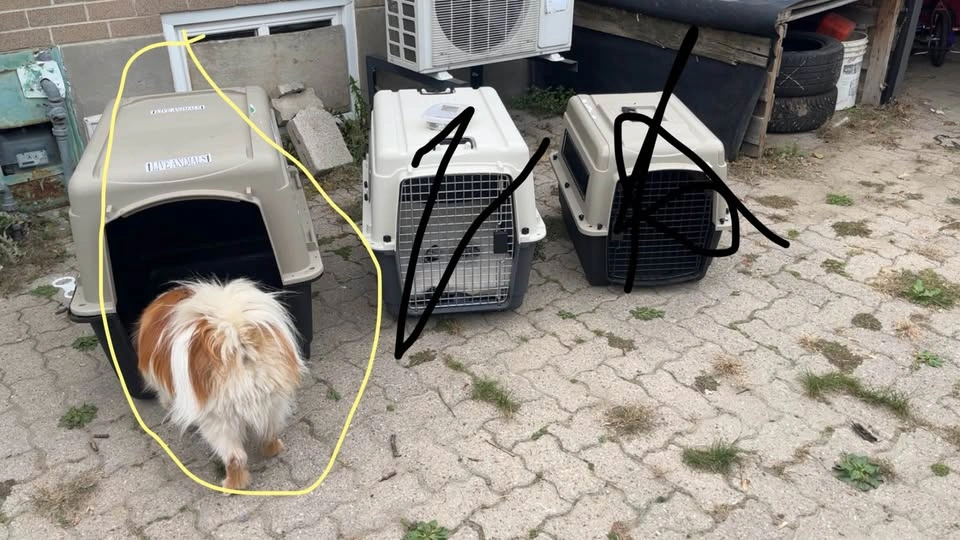 Large dog crate 32” long - photo 3