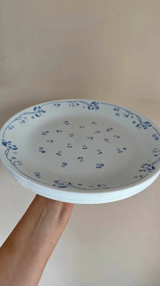 Vintage Corelle Provincial Blue Plates & Bowls