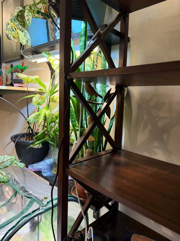 Dark brown wood bookshelves — pickup only - photo 4