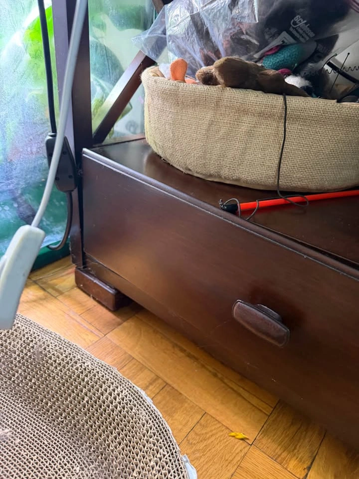 Dark brown wood bookshelves — pickup only - photo 5