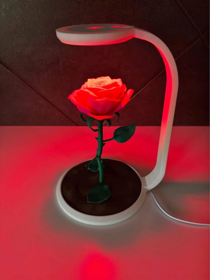Enchanted Rose LED Lamp – 3D Printed