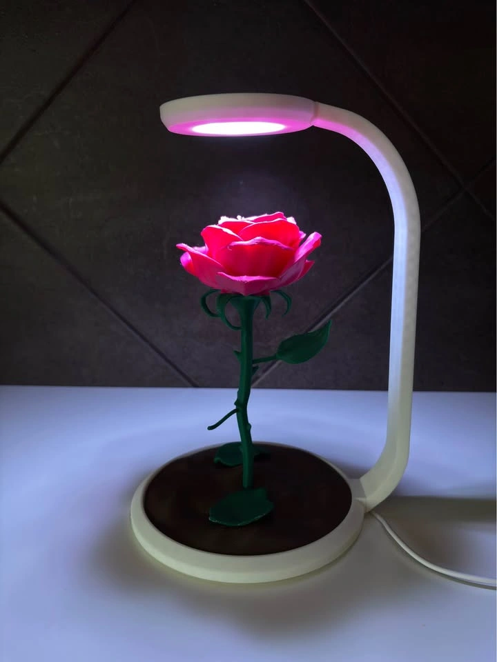 Enchanted Rose LED Lamp – 3D Printed - photo 2
