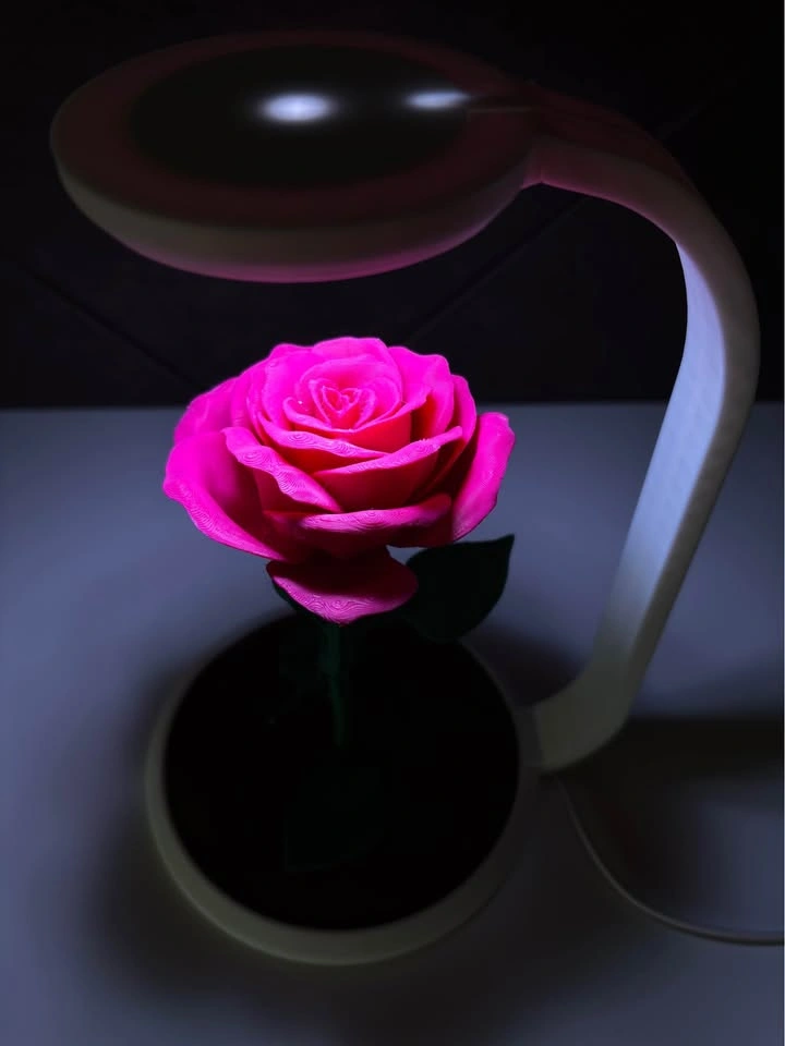 Enchanted Rose LED Lamp – 3D Printed - photo 3