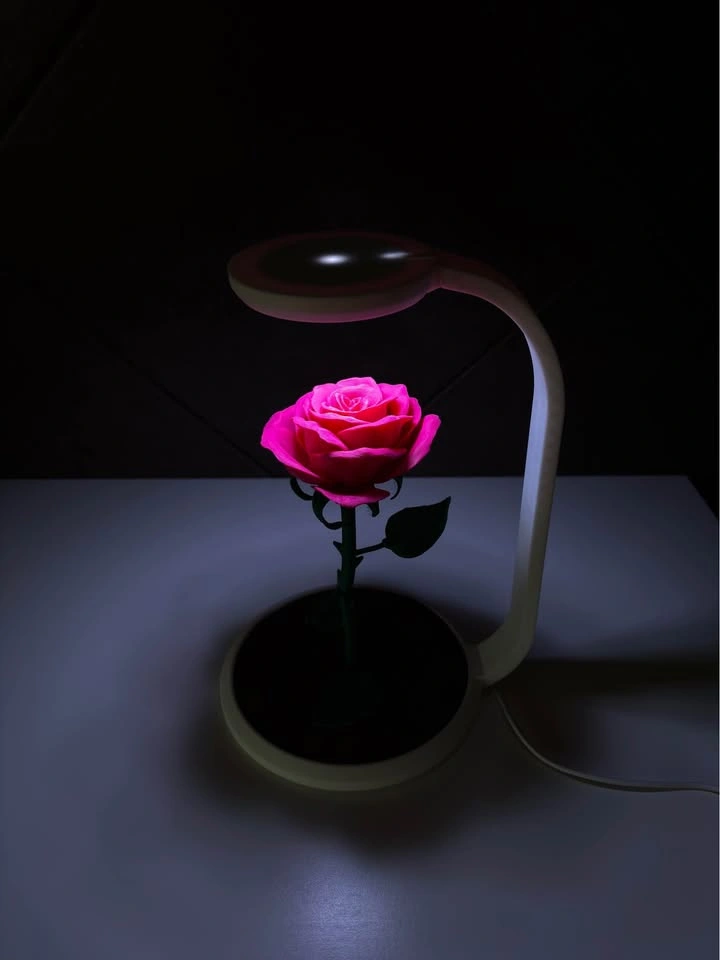 Enchanted Rose LED Lamp – 3D Printed - photo 4