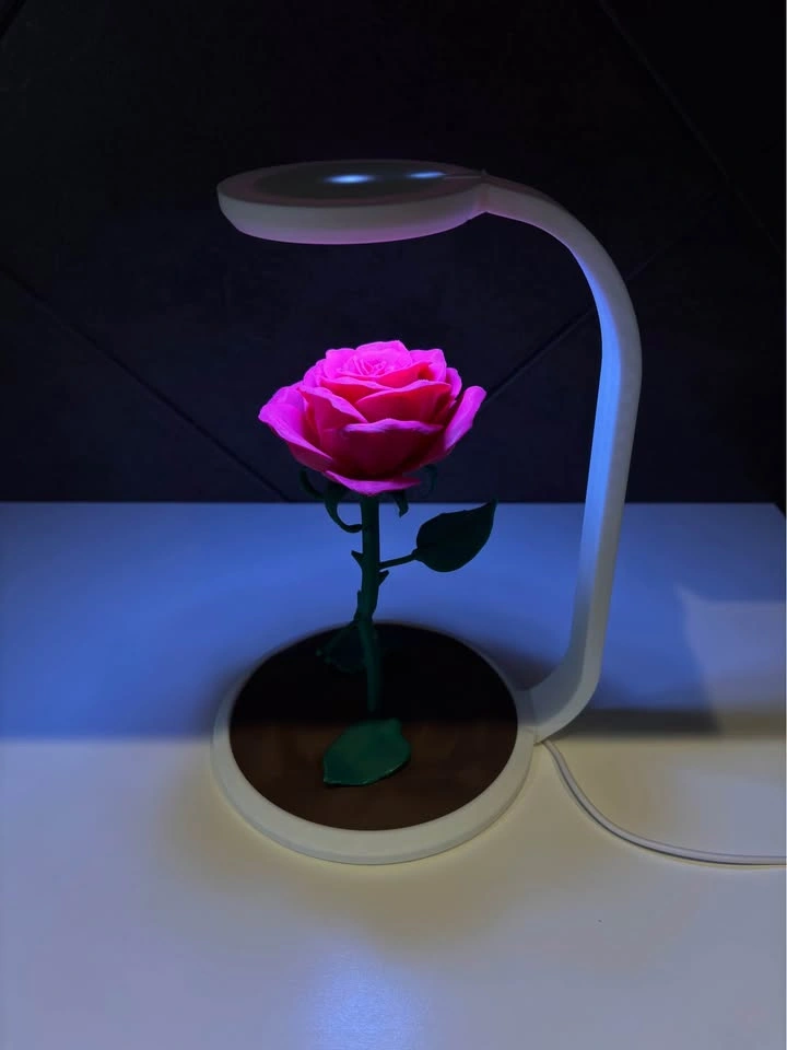 Enchanted Rose LED Lamp – 3D Printed - photo 5