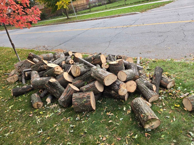 Free Firewood Logs