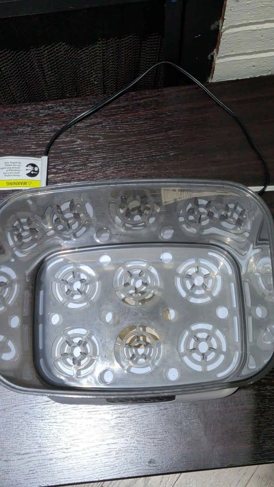Baby Brezza and Dr Browns Bottle Sterilizer - photo 5
