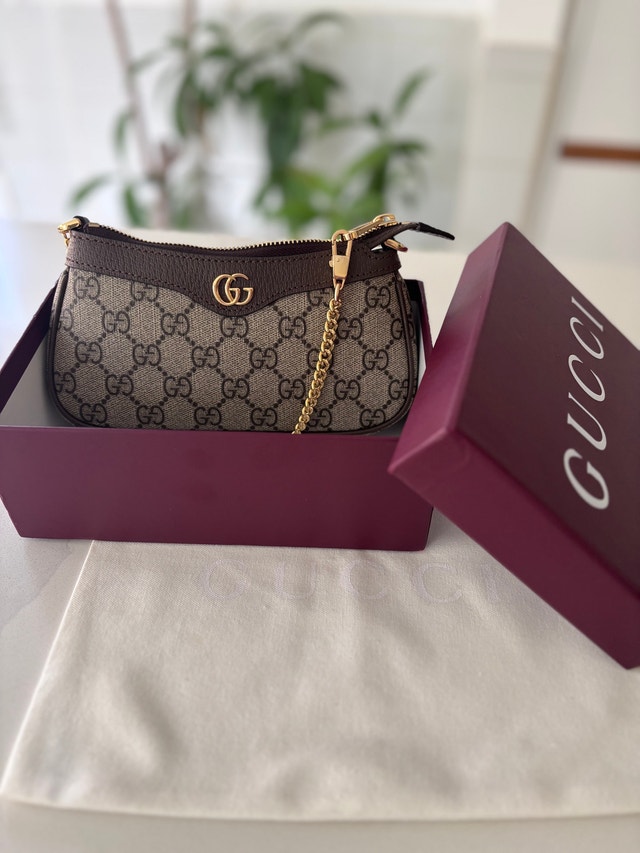 Gucci ophidia bag