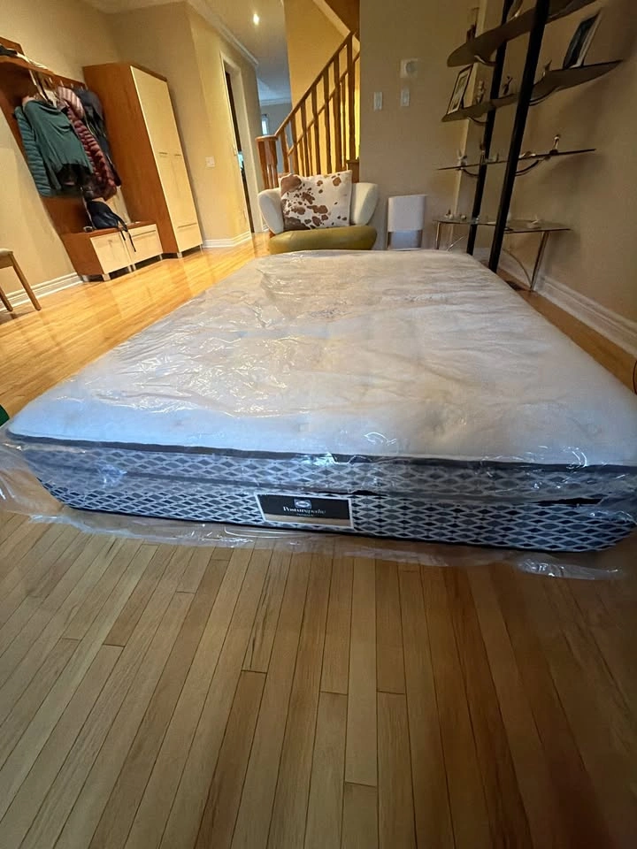 Sealy Queen Mattress