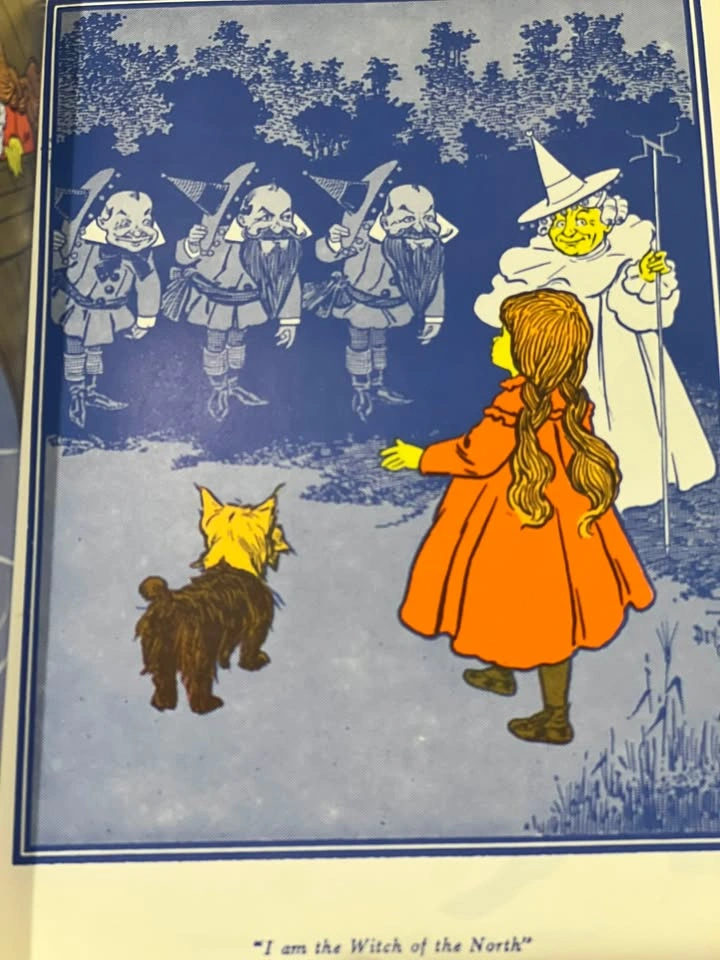 Vintage The Wonderful Wizard of Oz Paperback – Dover Facsimile - photo 5
