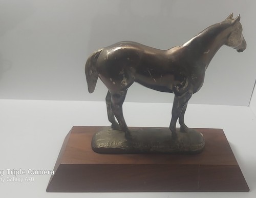 1974 Grand Champion Mare Trophy American Quarter Horse - photo 2