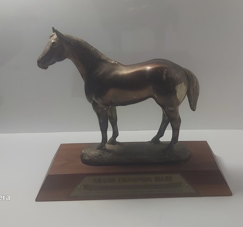 1974 Grand Champion Mare Trophy American Quarter Horse - photo 3