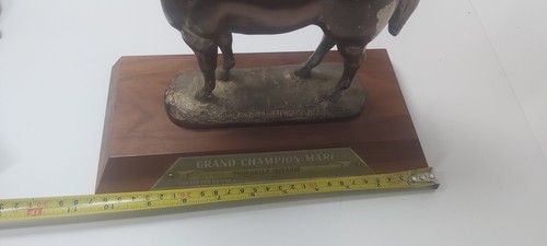 1974 Grand Champion Mare Trophy American Quarter Horse - photo 4