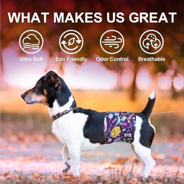 Flying Paws Male Dog Diapers XL - photo 5