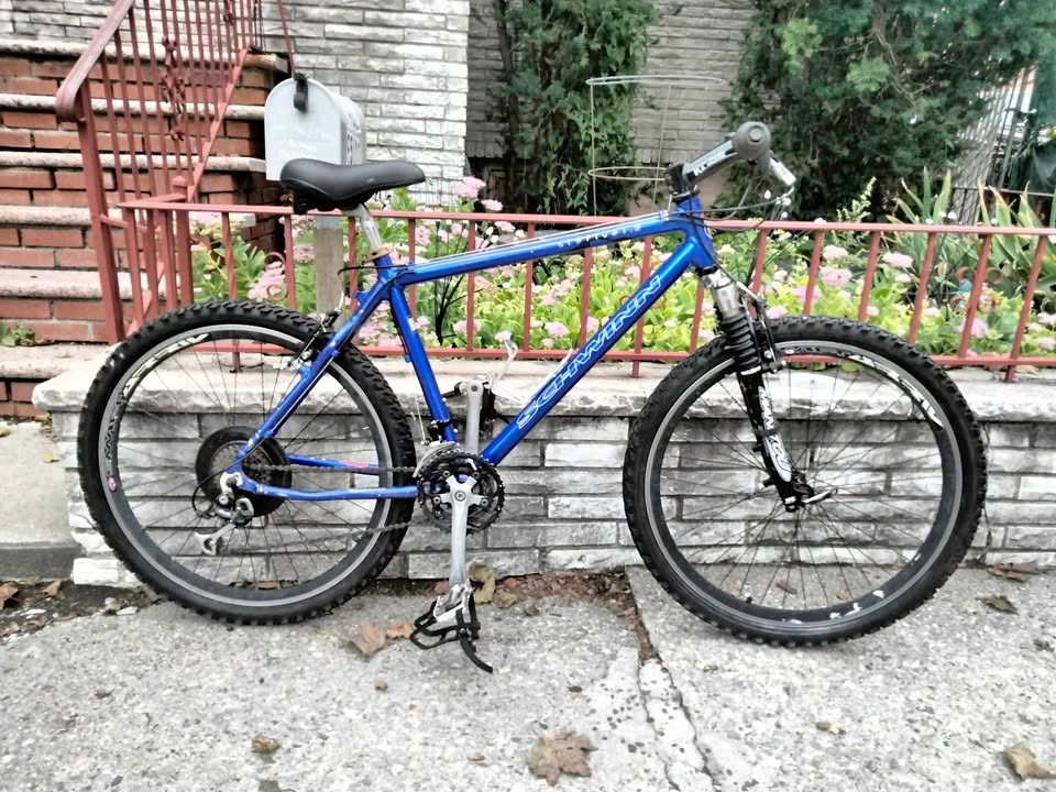 Schwinn Nine Five. Manitou Fork. 100%