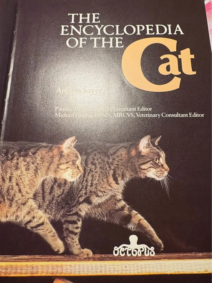 Encyclopedia of the cat large hardcover book - photo 2