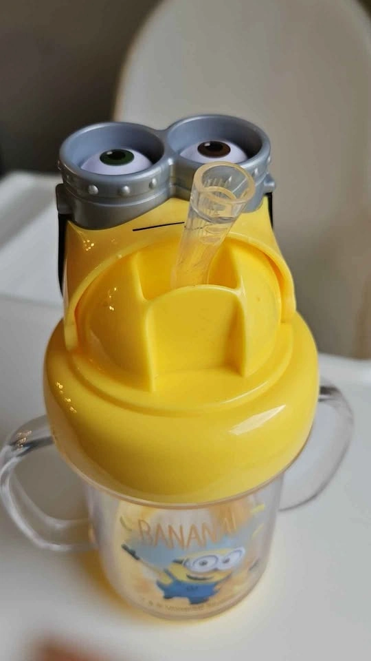 Universal Studios Minions Sippy Cup - photo 3