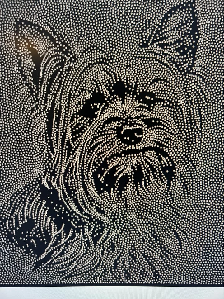 Pet Wall art - photo 2