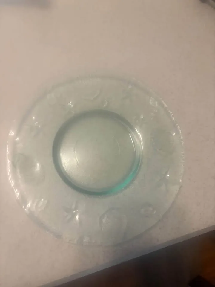 Seashell dishes image indicator(4)