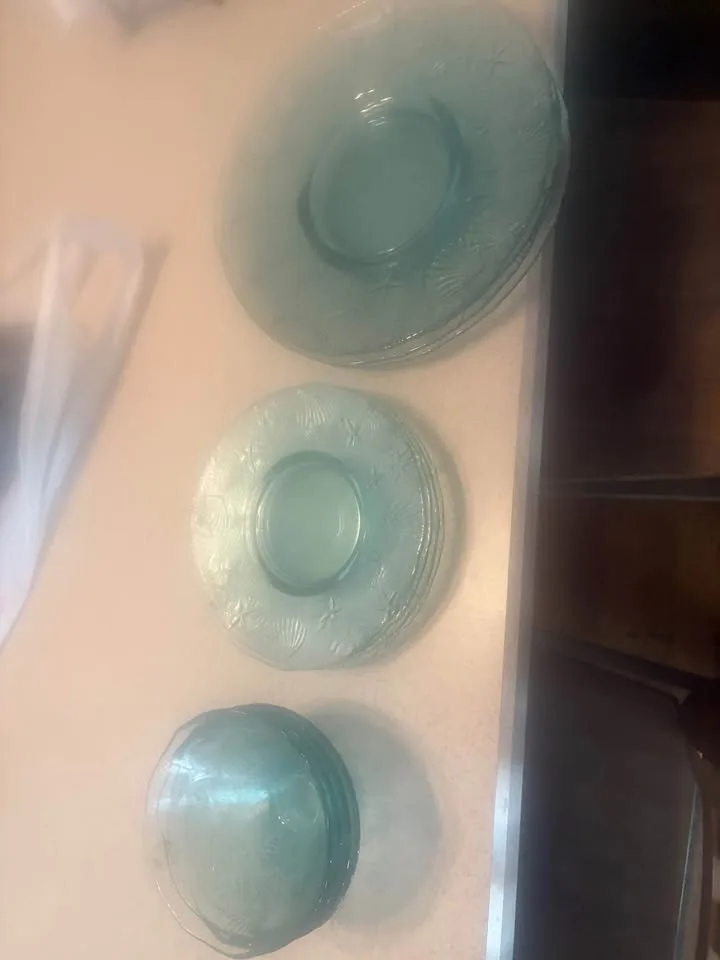 Seashell dishes image indicator(7)