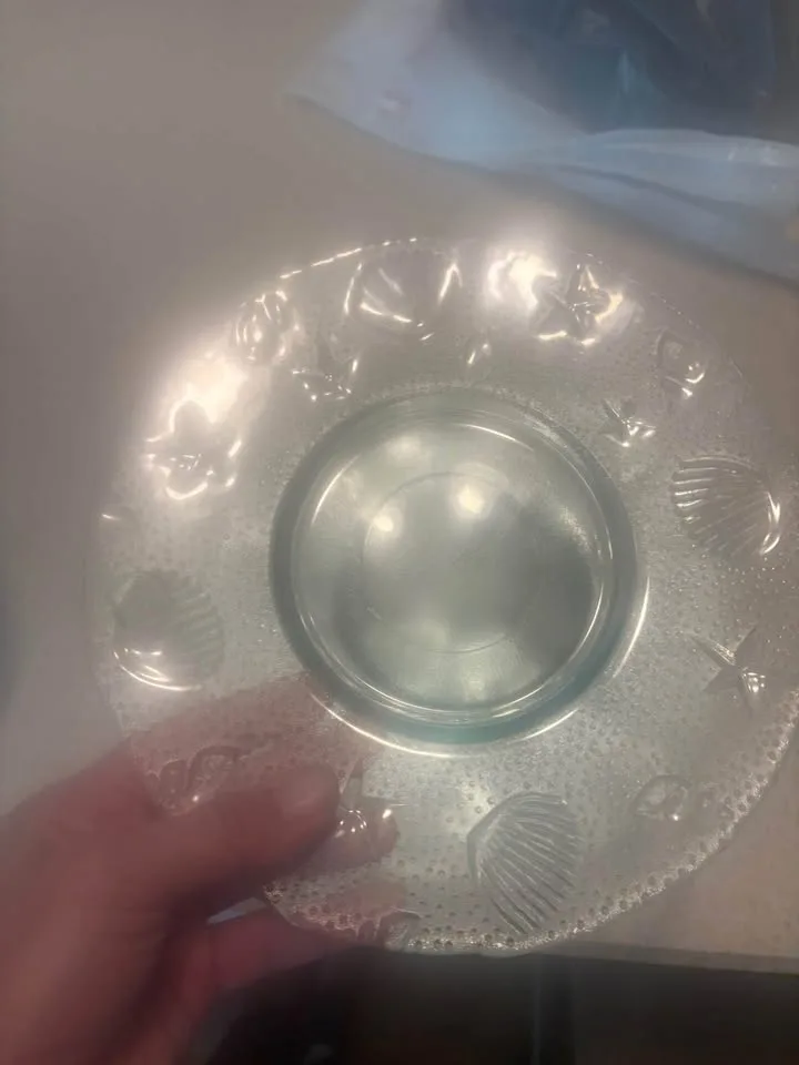 Seashell dishes image indicator(8)